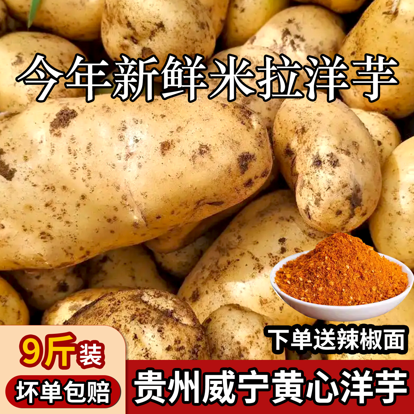 贵州威宁米拉黄心洋芋高山土特产老品种土豆新鲜黄皮马铃薯九斤装