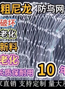 防鸟网果树草莓大棚樱桃葡萄梨树果园防鸟用网尼龙养殖网鱼塘天网