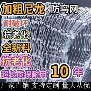 防鸟网尼龙果园防鸟用