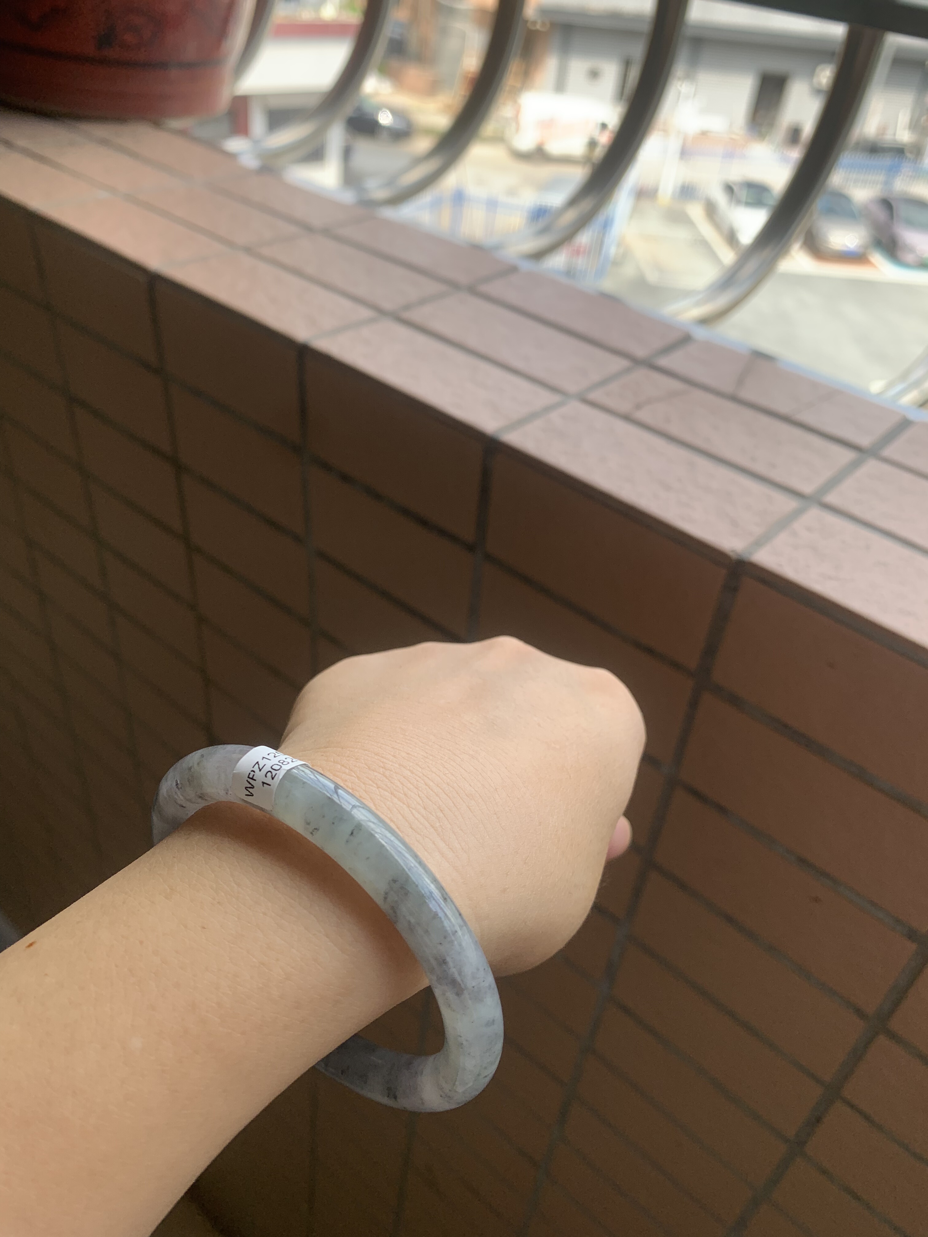 58-9缅甸纯天然A货翡翠冰种水墨画淡紫淡绿乌鸡证书825保真