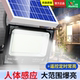 太阳能灯户外庭院灯一拖二新农村太阳能路灯家用室内照明大功率灯