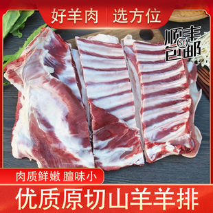 羊排羊肉新鲜内蒙古放养羊肉整只手抓草原靖远羊羔肉肋排羊腿烧烤