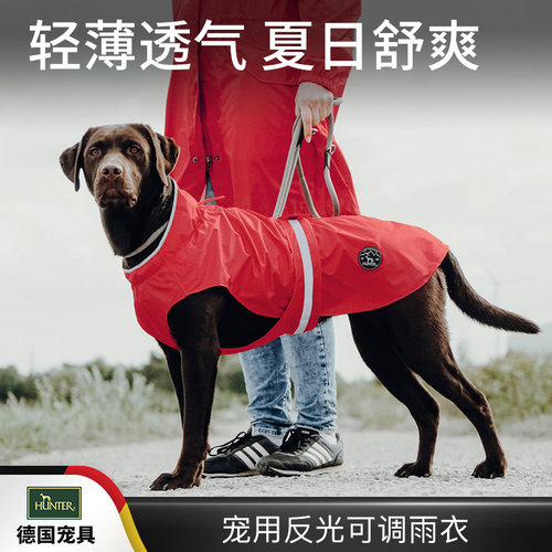 德国户外遛狗狗中大型犬首发新品
