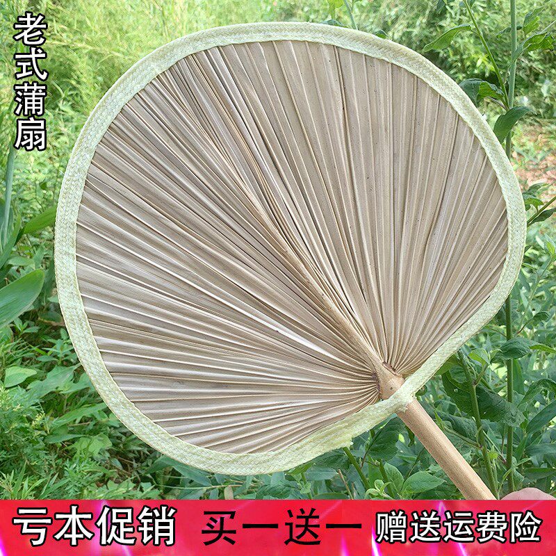 夏季老式蒲扇夏天老人乘凉赶蚊子芭蕉扇葵扇济公扇烧烤扇子大蒲扇