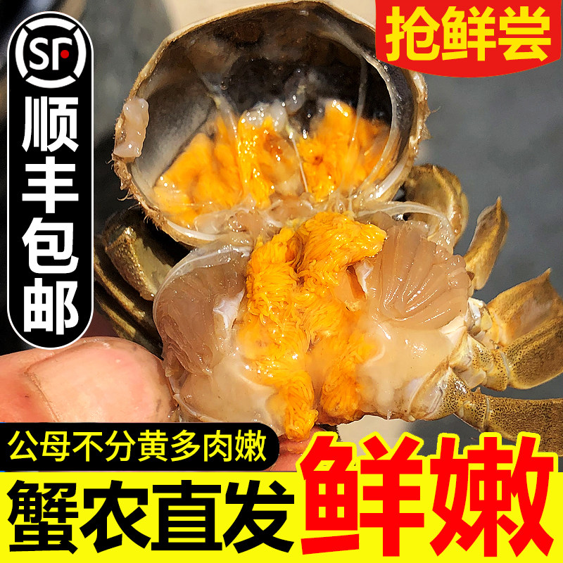 【活蟹】净重足秤六月黄小螃蟹鲜活大闸蟹淡水河蟹毛蟹海鲜水产