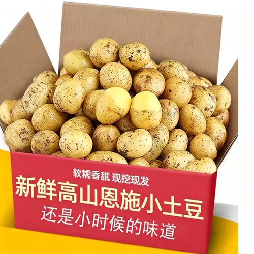 现挖恩施小土豆新鲜农家高山