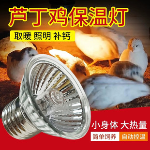 保温灯芦丁鸡饲养箱取暖灯鹦鹉专用养殖保暖灯乌龟小鸡育雏电烤灯