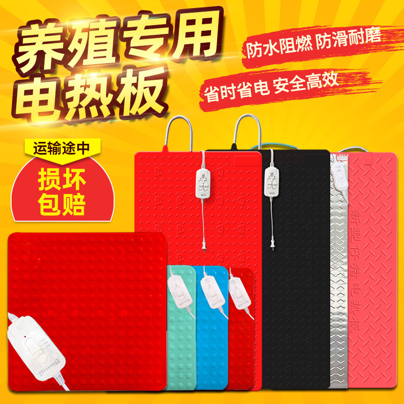 电热板兽用仔猪不锈钢加热保温板小猪宠物狗取暖器母猪产床碳纤维,畜牧/养殖物资,畜牧/养殖器械,淘宝优惠券,粉丝福利购,淘宝优惠卷