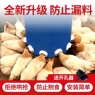 喂鸡神器出远门自动下料器家禽喂料桶鸽子喂食喂鸡食槽防鸟喂料桶