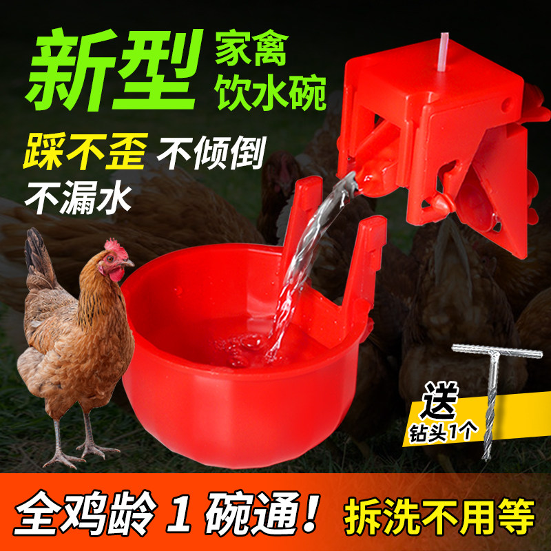 鸡用自动饮水器喂鸡神器养鸡鸭鹅自动喂水器可拆卸小鸡专用喝水碗,畜牧/养殖物资,畜牧/养殖器械,淘宝优惠券,粉丝福利购,淘宝优惠卷