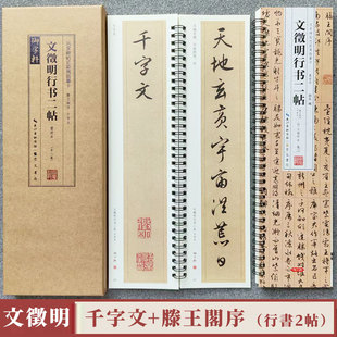 附简体旁注临摹本行书书法毛笔练字帖 文徵明行书二帖 名家碑帖近距离临摹卡2册全文 滕王阁序 崇文书局 行书千字文