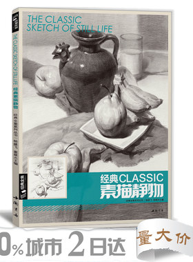 经典全集 经典素描静物组合临摹书籍美术基础技法结构到位绘画册照片风暴高艺联考主导陈敲平陶罐门砖教学程材大八开范本 杨建飞