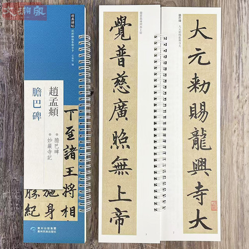 赵孟頫胆巴碑 近距离临摹字卡 贵州民族出版社 赵体楷书原帖附繁体旁注书法毛笔练字帖临摹范本 弘蕴轩