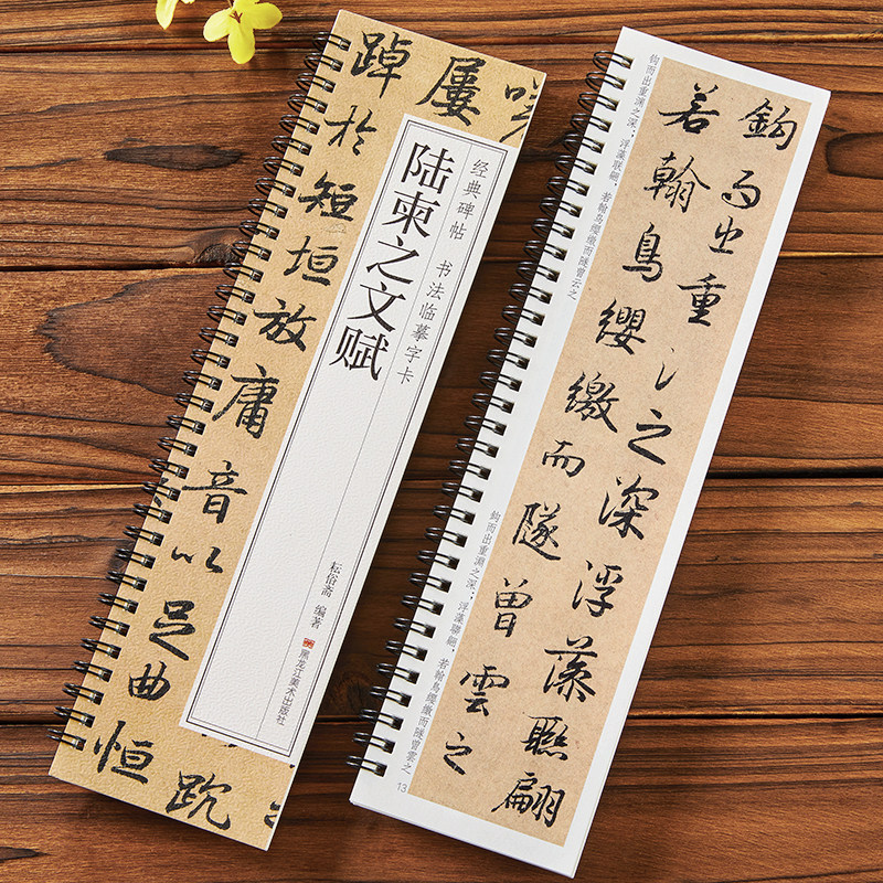 陆柬之文赋 经典碑帖书法临摹字卡 墨迹本原帖全文 行书书法毛笔字卡练字帖 黑龙江美术出版社