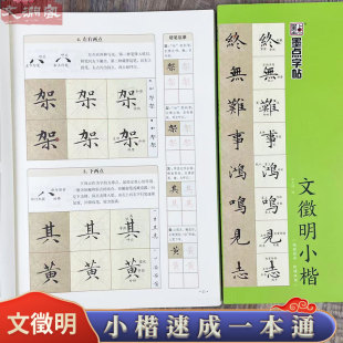 笔法特点毛笔硬笔书法要领基本笔画偏旁部首结字规律章法创作楷书毛笔书法字帖临摹本 视频指导 墨点字帖 小楷速成一本通 文徵明