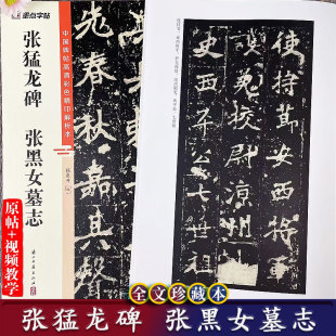 张黑女墓志 成人毛笔临摹字帖 中国碑帖高清彩色精印解析本 原碑帖毛笔书法字帖附简体旁注 墨点字帖 北魏楷书视频教学 张猛龙碑
