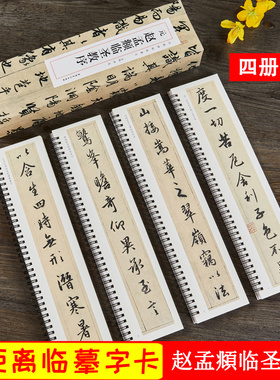 赵孟頫临圣教序 元 经典碑帖近距离临摹卡 全4册 赵孟頫行书书法毛笔练字帖原帖附旁注 安徽美术出版社