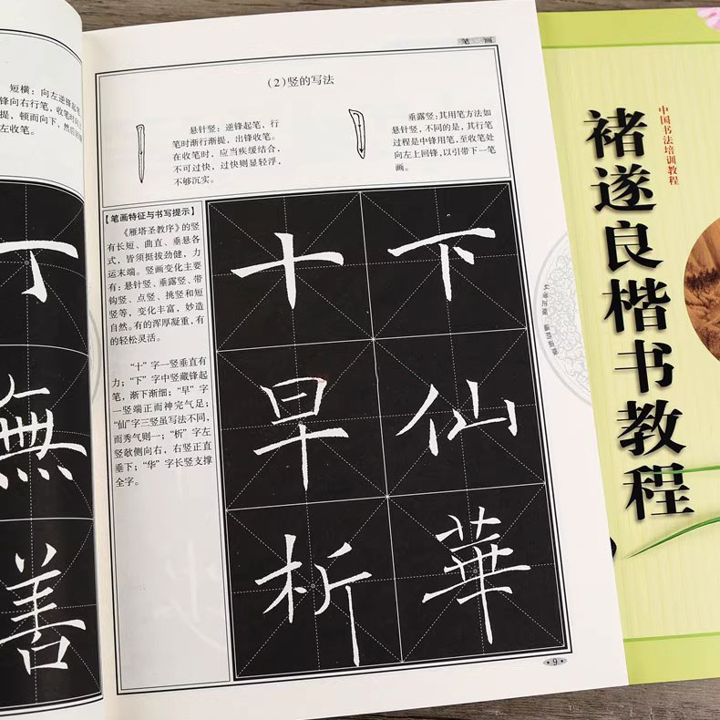 正版包邮，褚遂良雁塔圣教序楷书教程