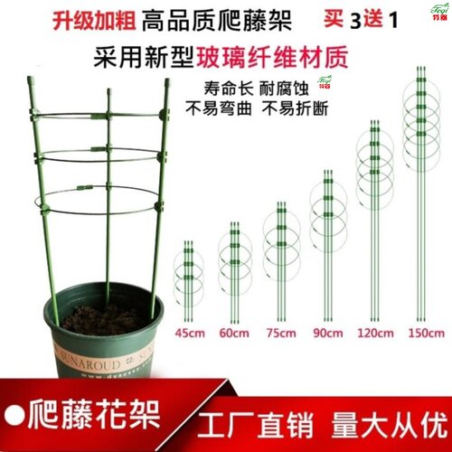 豆角架网素材模板 豆角架网图片下载 小麦优选