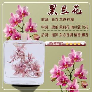 黑兰花香薰100ML真花香氛酒店车内家用摆件民宿除味汽车香薰香水