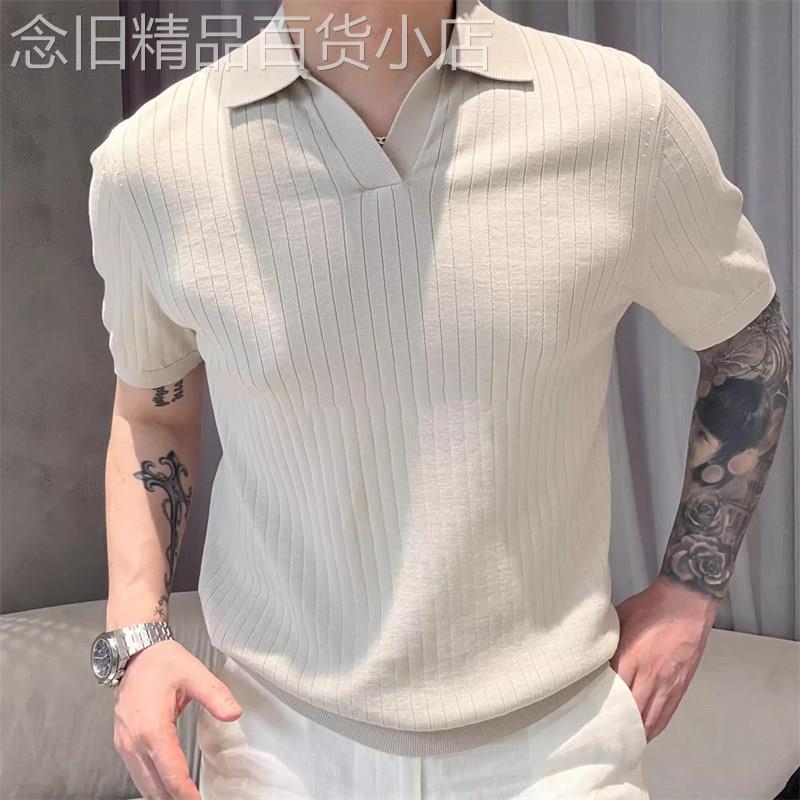 轻奢老钱风海鸥v领polo衫男士夏季新款薄款针织翻领短袖高品质t恤