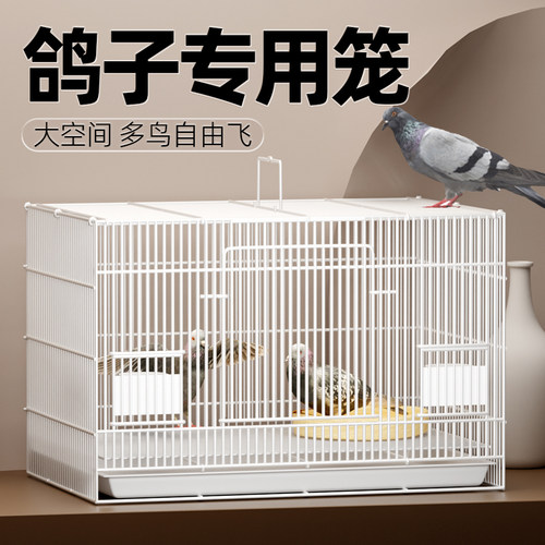 鸽子笼子新型家用养殖笼户外专用繁殖用具巢窝配对训放笼用品大全