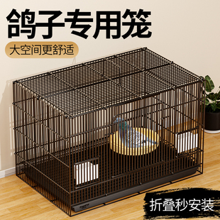 鸽子笼子家用养殖笼新型户外专用繁殖巢窝用具配对训放笼用品大全