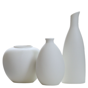 侘寂风陶瓷小花瓶一对摆件客厅插花餐桌白色干花创意高级感