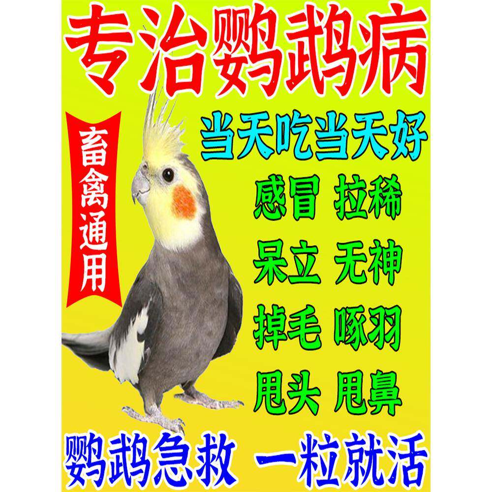 正品鹦鹉常备药凯哥豪鸽玄凤虎皮鸟常用药感冒拉稀嗉囊炎畜禽专用