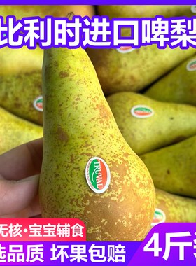 比利时啤梨荷兰青进口啤梨稀有新鲜水果梨子软糯香甜大果