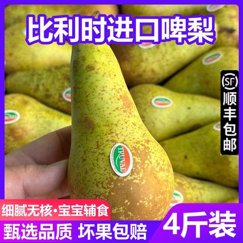 荷兰比利时啤梨樱福源