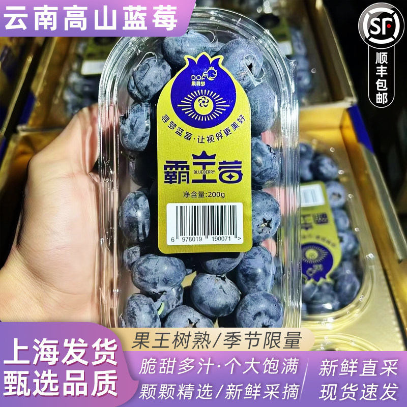 霸王莓云南高原蓝莓王皇冠蓝莓超大果蓝莓大蓝莓22mm+顺丰快递