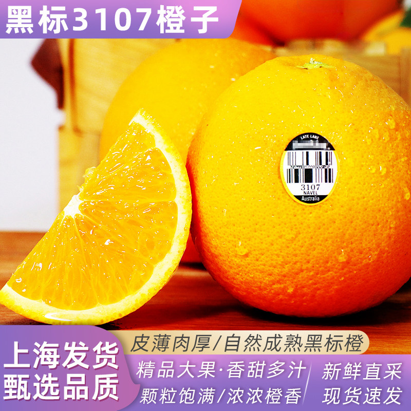 黑标3107橙子5斤当季新鲜水果脐橙橙子多汁大果包邮
