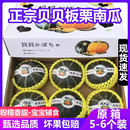 新货 6只宝宝辅食香粉糯新鲜蔬菜板栗小南瓜 包邮 贝贝南瓜板栗味5
