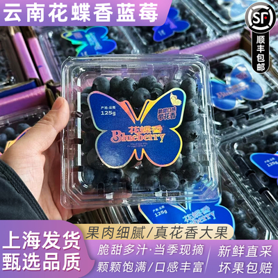 云南花蝶香蓝莓鲜果原箱礼盒12盒大果当季新鲜水果脆甜多汁顺丰