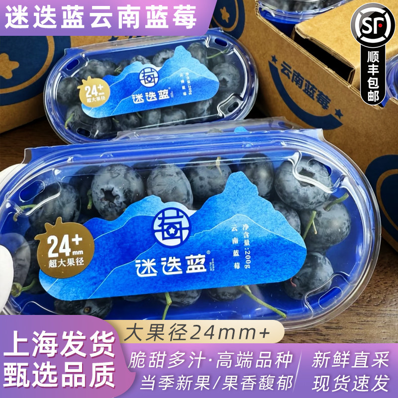 云南蓝莓王24+超大果皇冠蓝莓迷迭莓大蓝莓甜蓝莓8盒礼盒装发顺丰