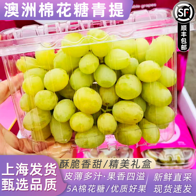 澳洲棉花糖青提香甜浓郁不带酸进口无籽提子3斤新鲜水果葡萄顺丰