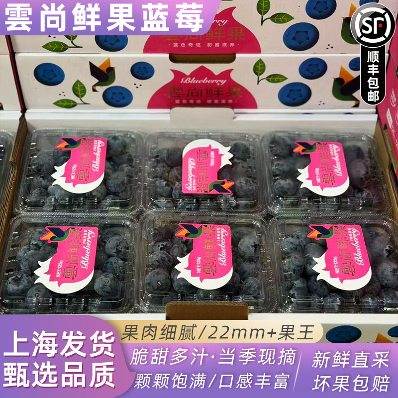 云南雲尚鲜果超甜蓝莓特大果125g/盒护眼当季新鲜脆甜蓝莓果顺丰