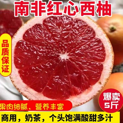 南非进口5斤特大果整箱红心西柚