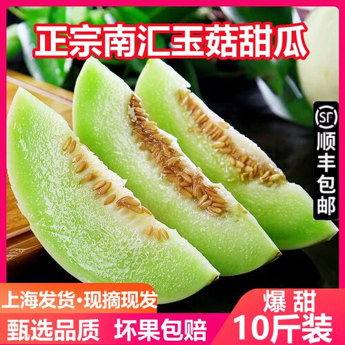 上海玉菇甜瓜超甜糯上海南汇玉菇