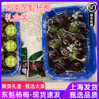 仙居东魁杨梅礼盒装大果当季新鲜杨梅现摘现发鲜甜多汁水果发顺丰