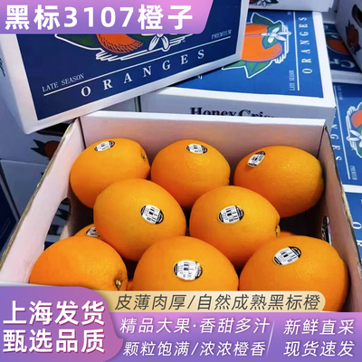 澳洲进口黑标橙3107橙子8斤礼盒装当季新鲜水果脐橙橙子大果包邮