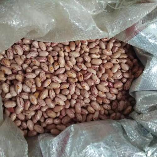 四川雅安宝兴特产大雪山花芸豆农民自产无农药化肥5斤包邮