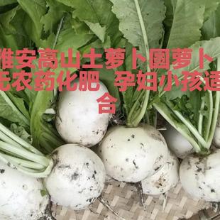 四川雅安宝兴高山农家圆萝卜土萝卜5斤包邮农家肥种适合孕妇孩子