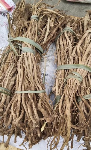 川牛膝野生干牛膝四川牛膝