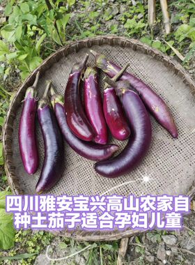 茄子新鲜发货农家自种
