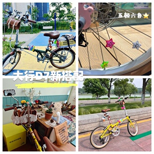 适用DAHON大行D7折叠自行车配饰件水杯架挂钩尾灯锁挂件包小红书