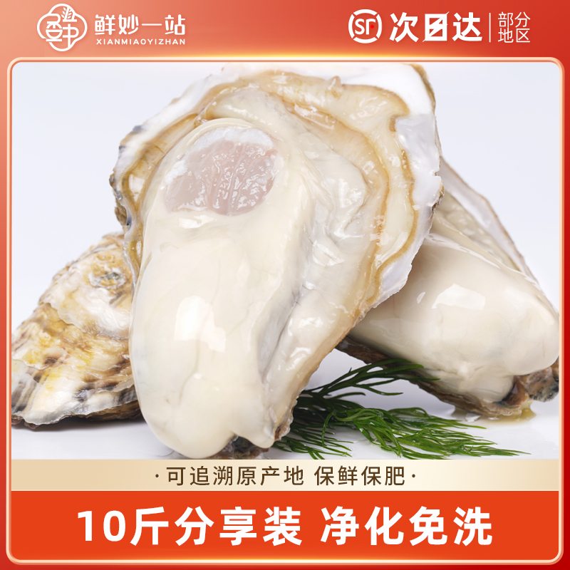 乳山生蚝鲜活10斤特大牡蛎带箱生蚝肉带壳海蛎子贝类海鲜水产批发-封面