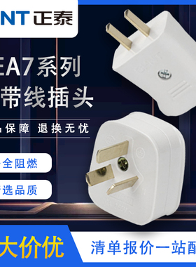 正泰电源插座二脚三脚电源插头NEA7家用 10A三孔两孔排插无线插头