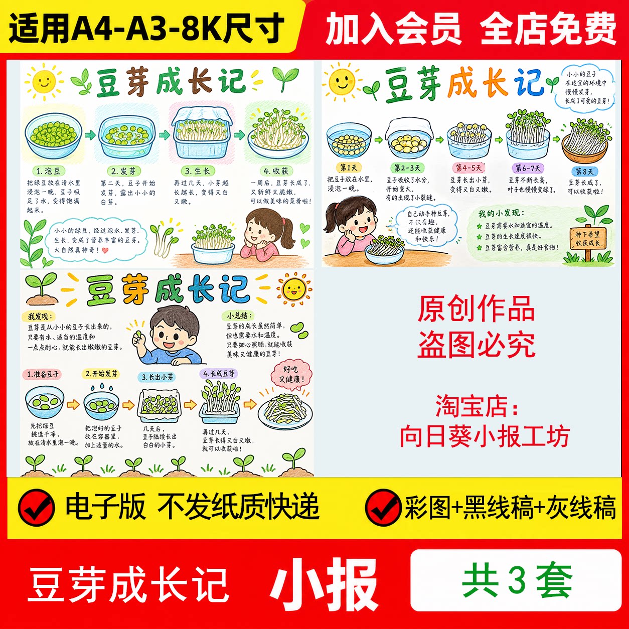 豆芽成长记自然笔记观察记录手抄报电子模板植物实验流程线稿手绘